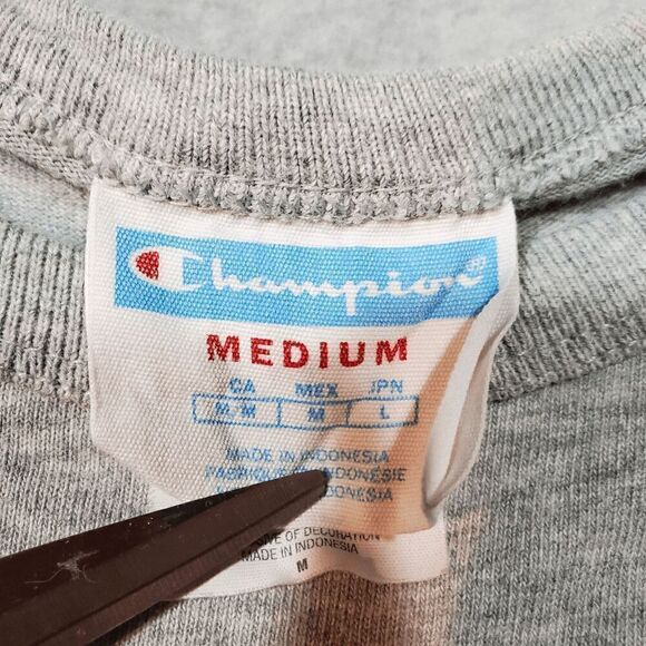 Champion Shirt Mens Medium Gray Cotton Spell Logo Crew Neck Pullover Tee Vintage - Picture 2 of 9